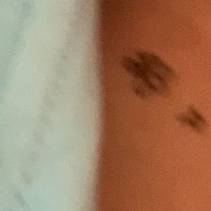 Meet your Posher, Esmeralda